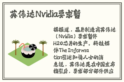挽起裙子迈开腿坐上去c作小作文